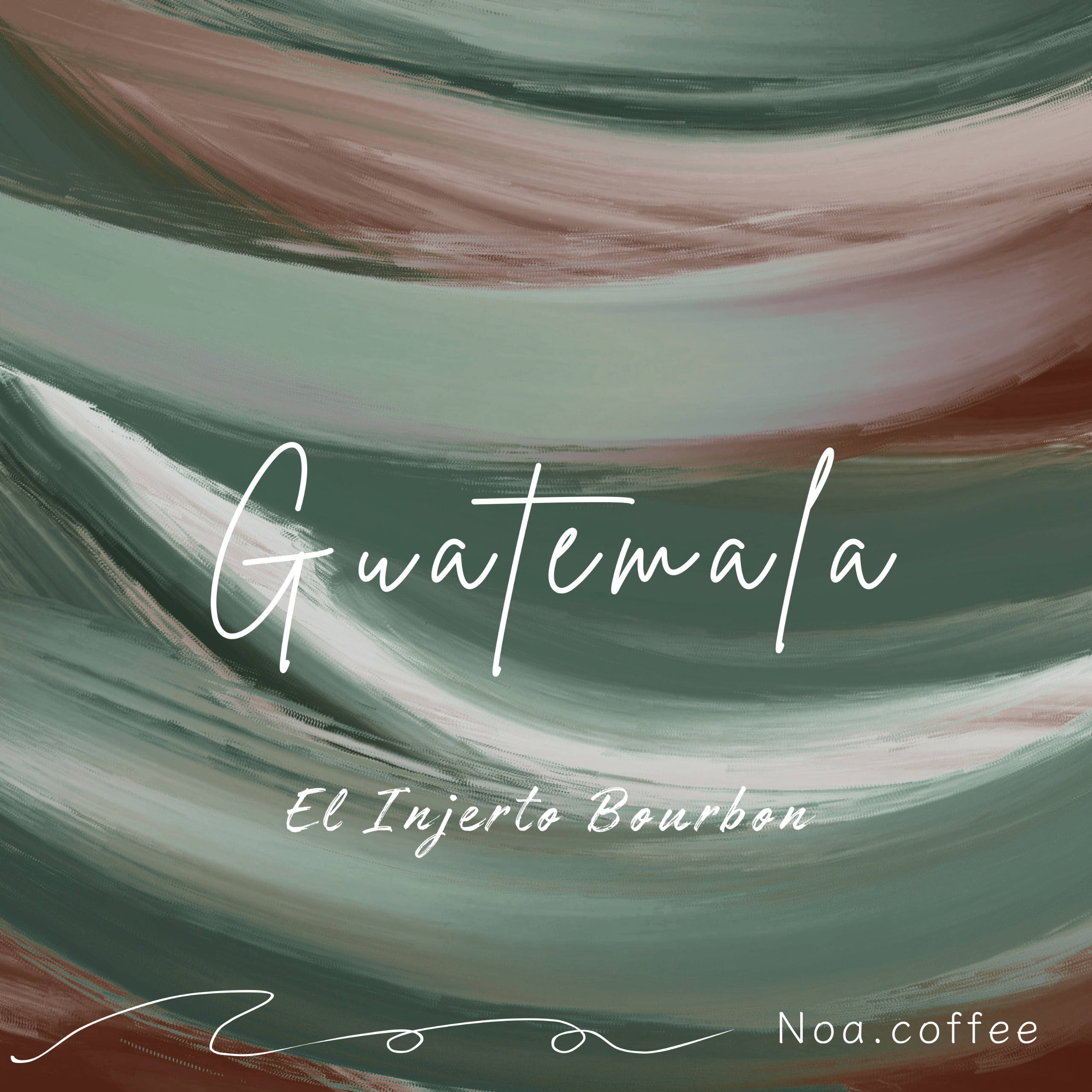 グアテマラ エルインヘルト農園 ブルボン (Medium) | Noa coffee works